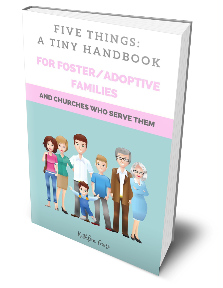 Five Things: A Tiny Handbook for Foster/Adoptive Families